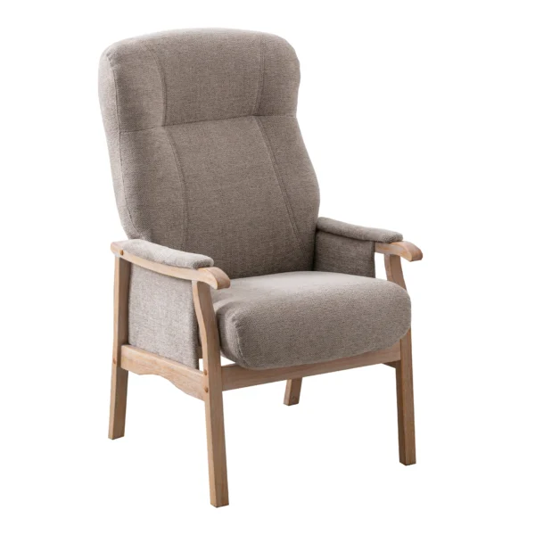Brandon Orthopaedic Armchair