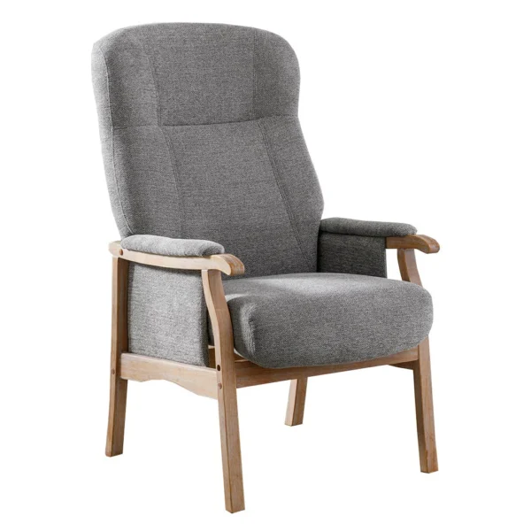 Brandon Orthopaedic Armchair - Image 2