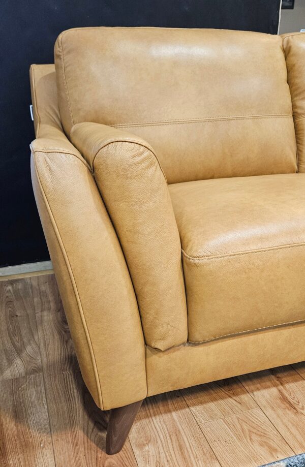 Digio Piave Leather Sofa - Image 4