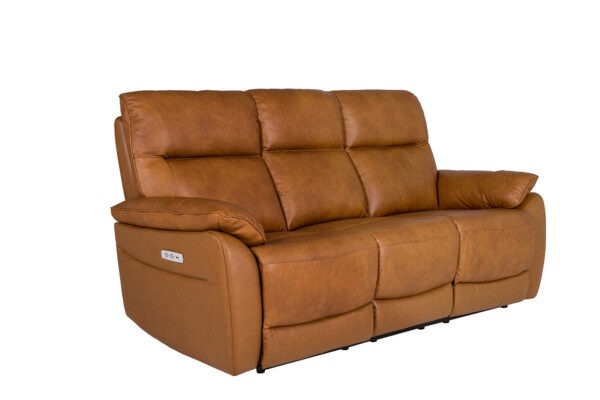 Romano Leather Sofa - Image 3