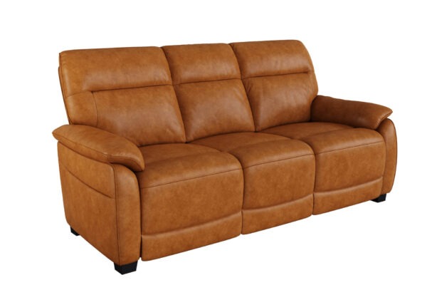 Romano Leather Sofa - Image 4